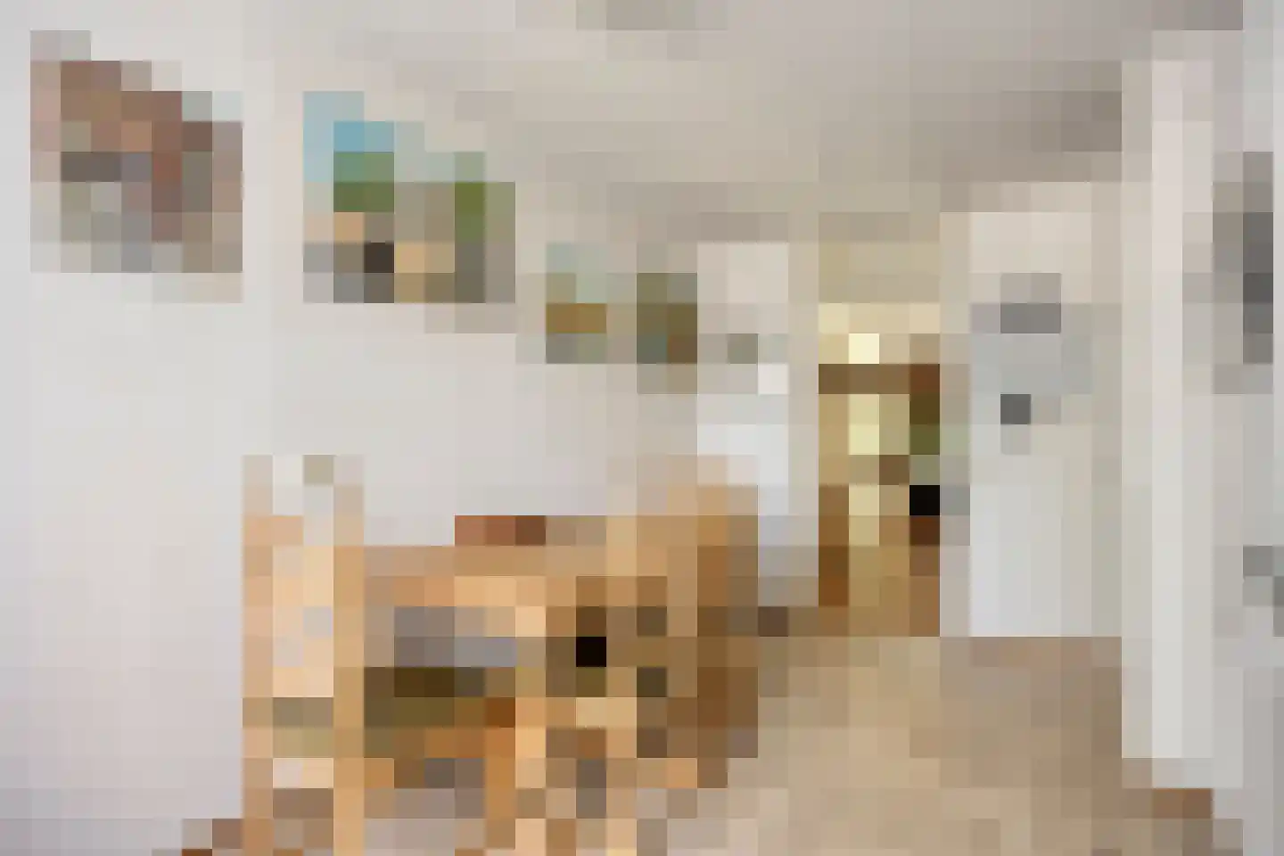 Lisztgaarde 322 Oss thumbnail 14