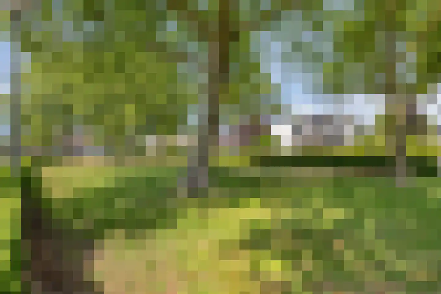 Lisztgaarde 322 Oss thumbnail 32
