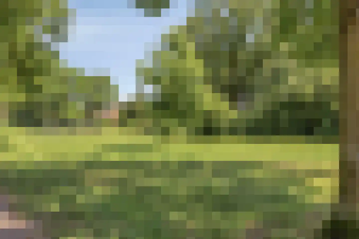 Lisztgaarde 322 Oss thumbnail 34