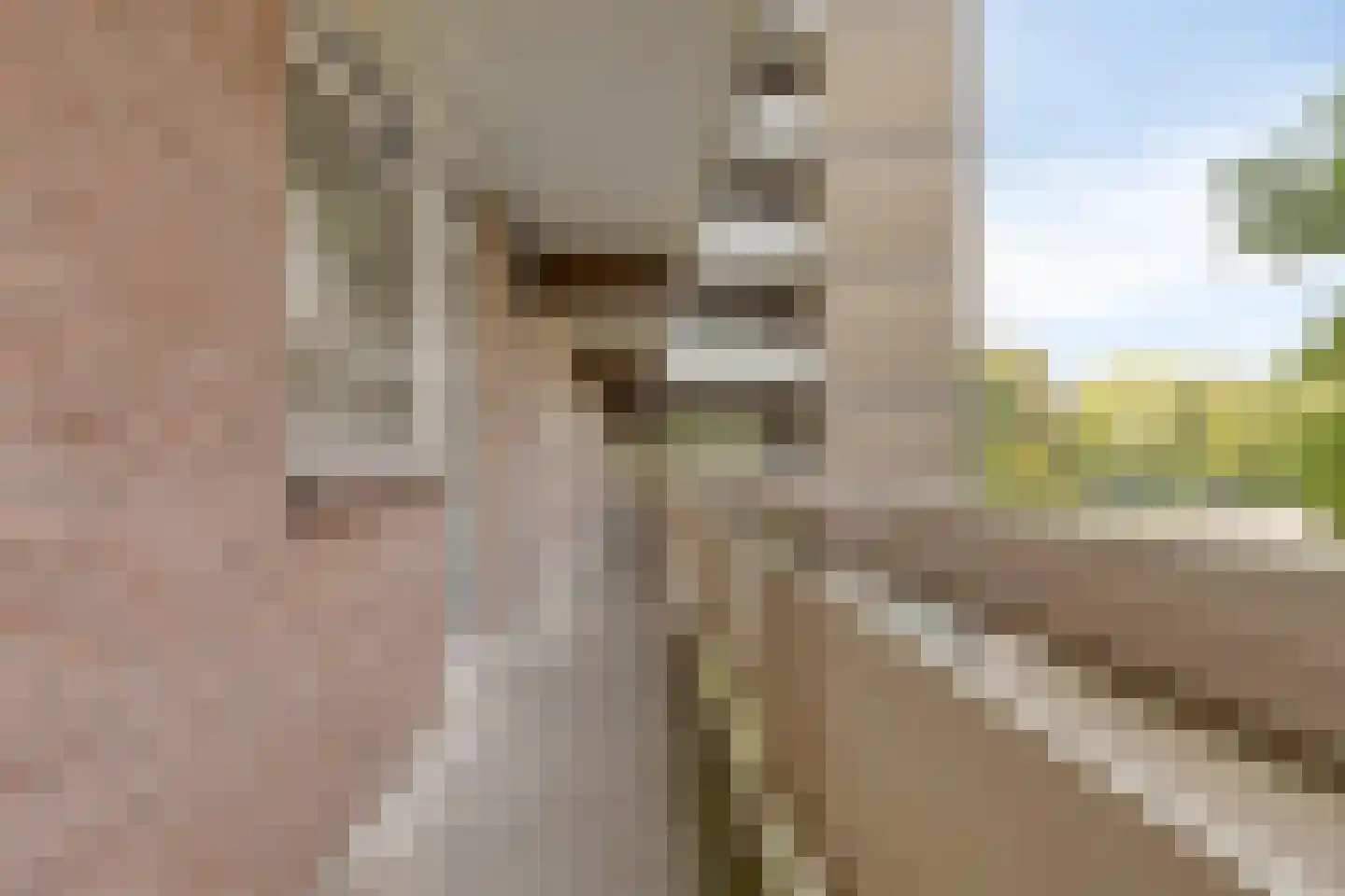 Lisztgaarde 40 Oss thumbnail 15