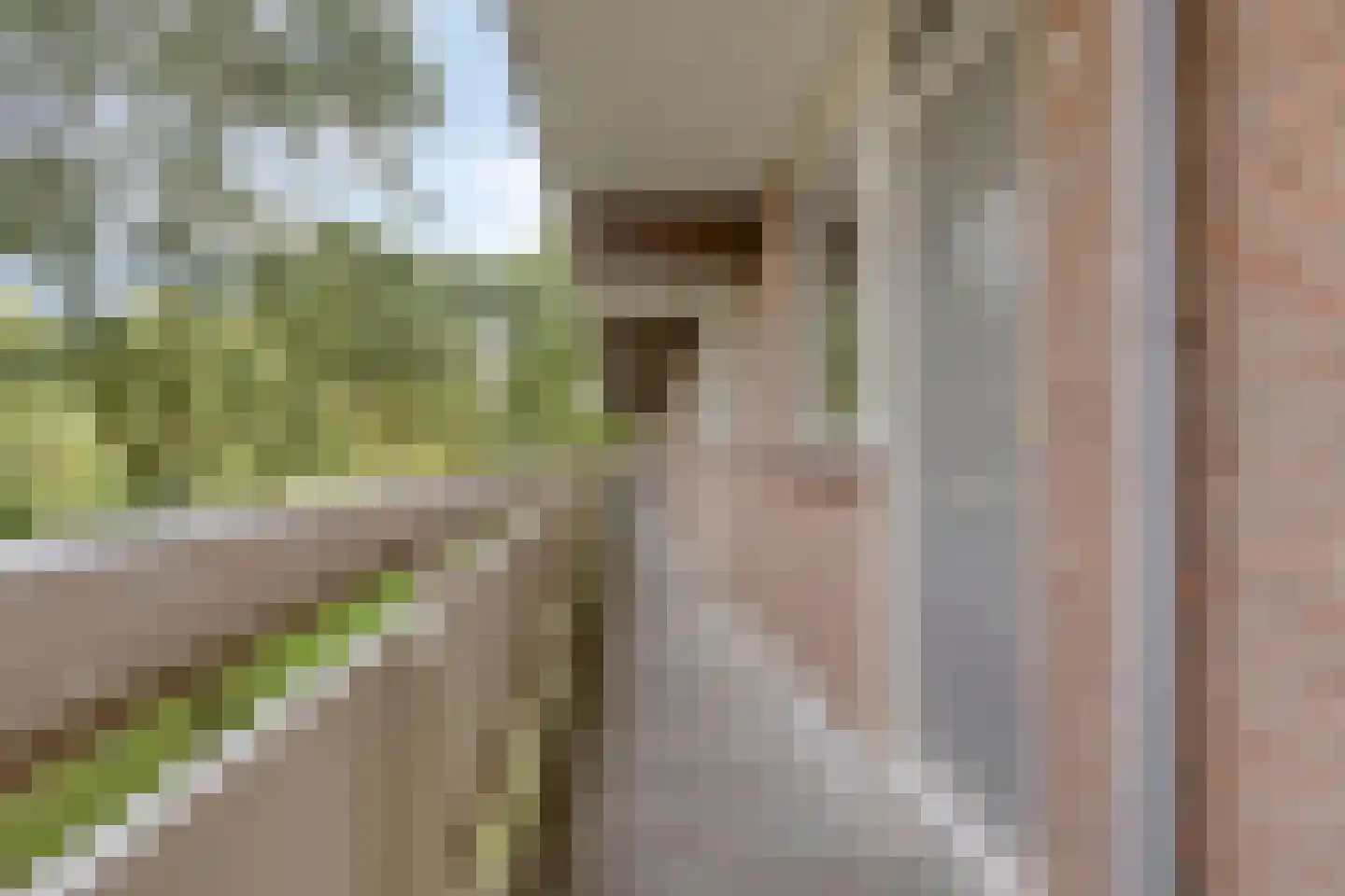 Lisztgaarde 40 Oss thumbnail 16