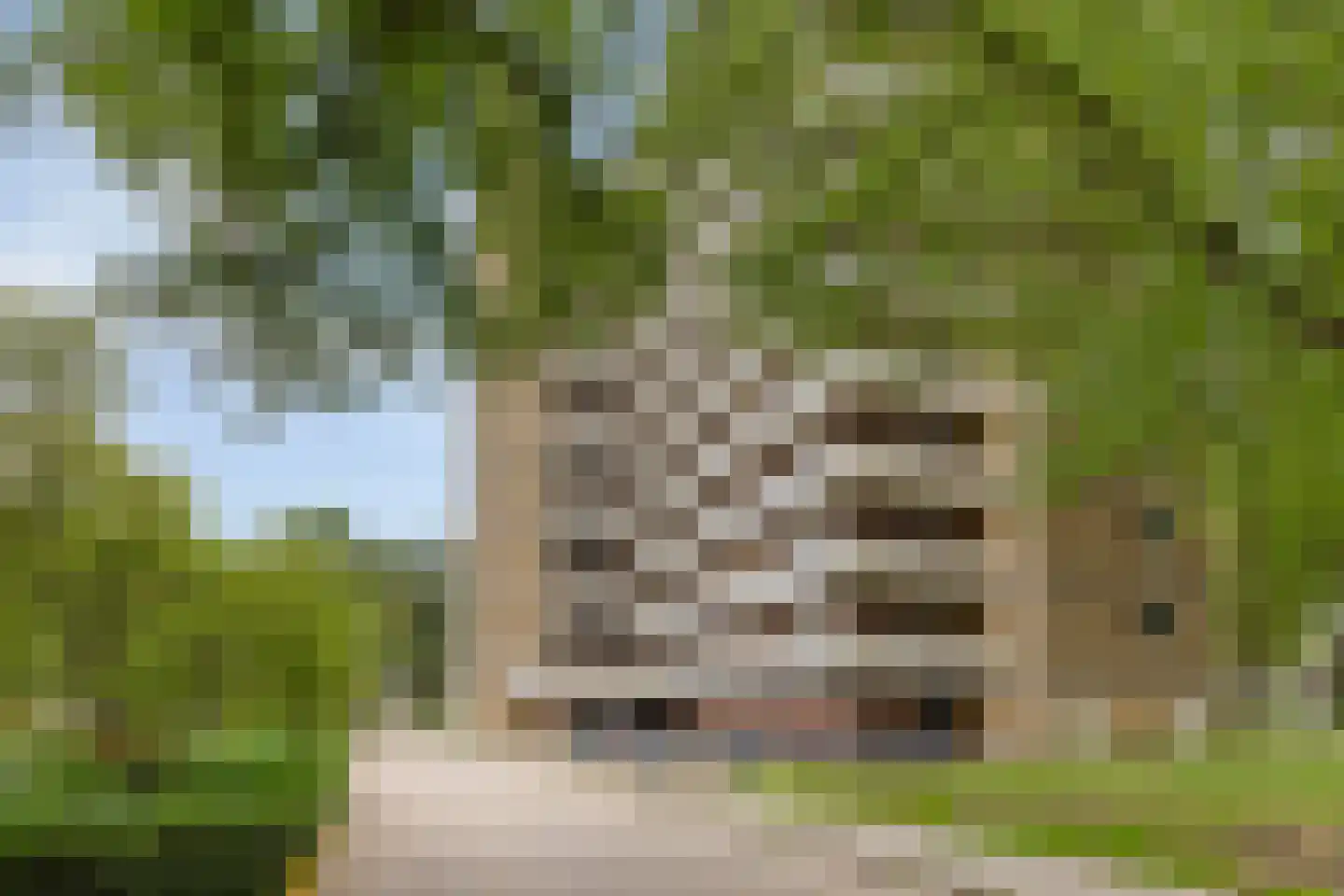 Lisztgaarde 40 Oss thumbnail 20