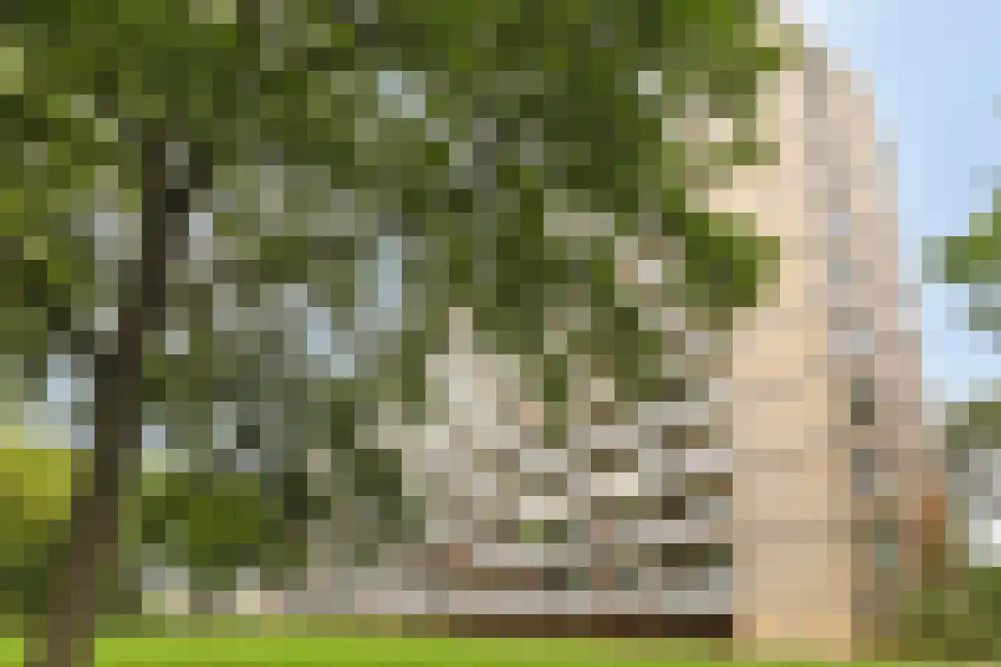 Lisztgaarde 40 Oss thumbnail 21