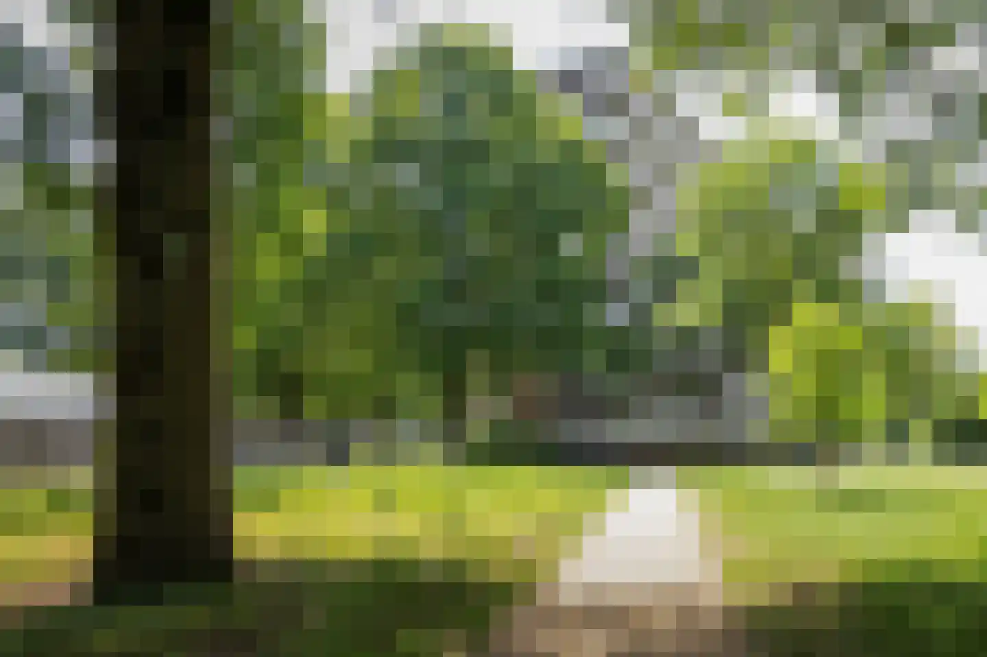 Lisztgaarde 42 Oss thumbnail 19
