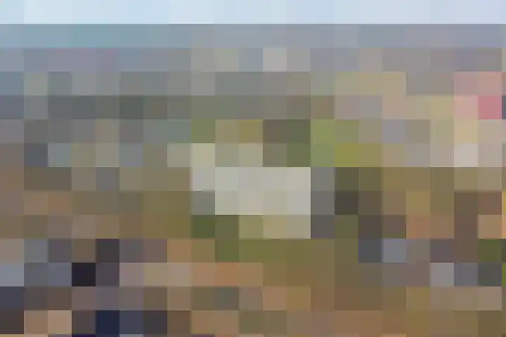 Lisztgaarde 48 Oss thumbnail 10