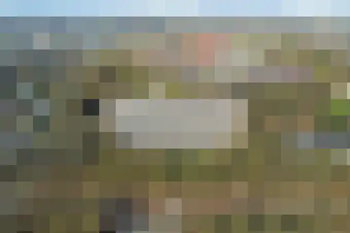 Lisztgaarde 48 Oss thumbnail 11