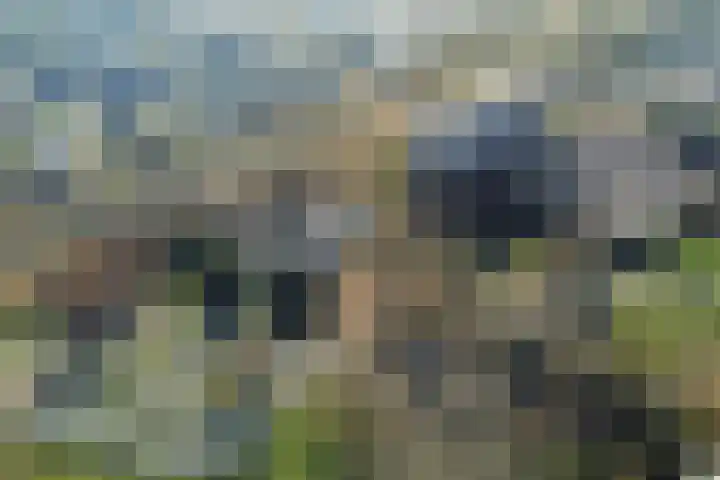 Lisztgaarde 48 Oss thumbnail 12