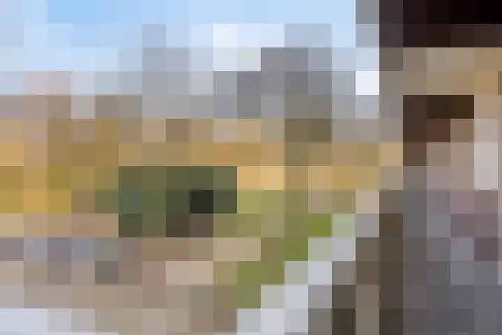 Lisztgaarde 48 Oss thumbnail 16