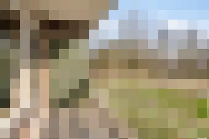 Lisztgaarde 48 Oss thumbnail 27