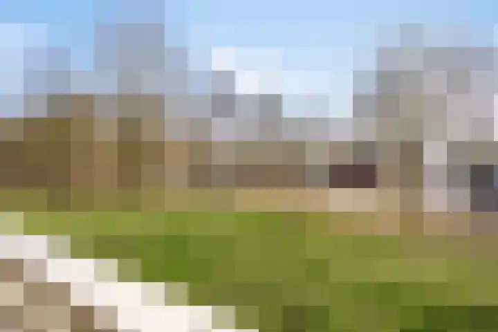 Lisztgaarde 48 Oss thumbnail 28