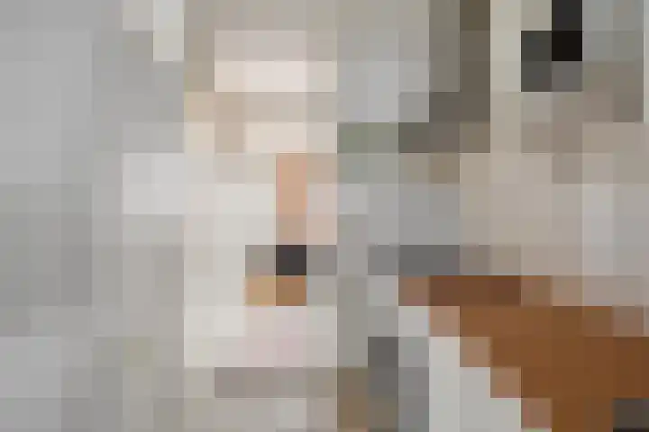 Lisztgaarde 48 Oss thumbnail 30