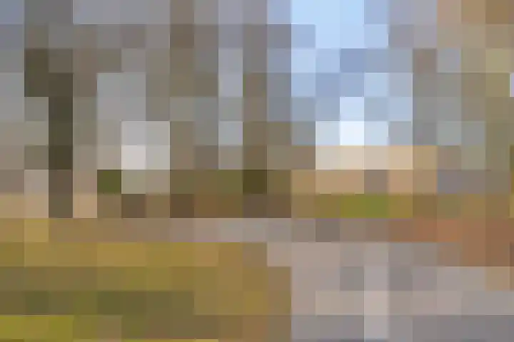 Lisztgaarde 48 Oss thumbnail 32