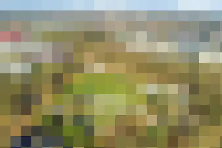Lisztgaarde 48 Oss thumbnail 34