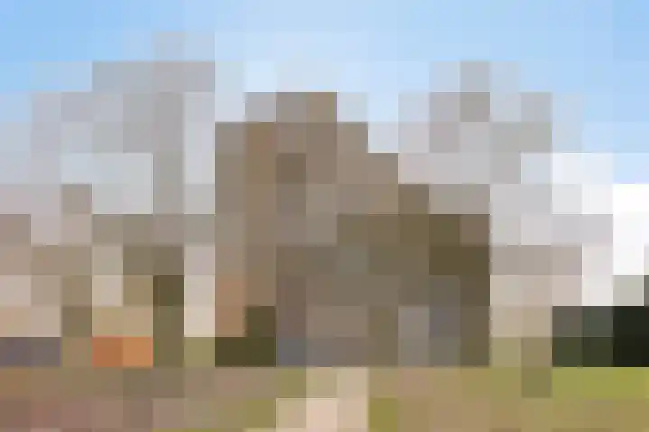 Lisztgaarde 48 Oss thumbnail 5