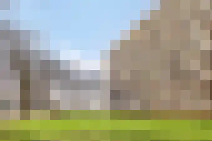 Lisztgaarde 48 Oss thumbnail 7