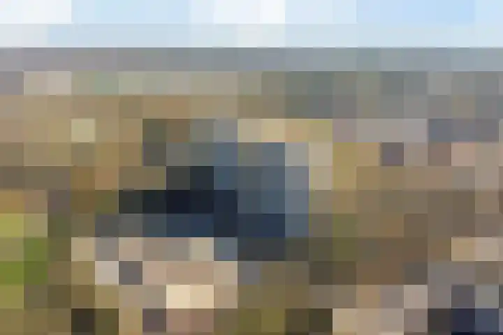 Lisztgaarde 48 Oss thumbnail 8