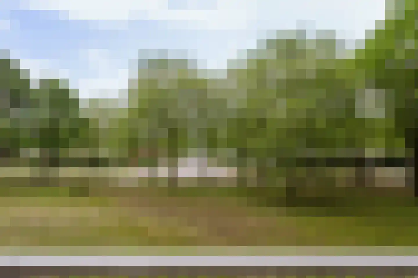 Lisztgaarde 50 Oss thumbnail 15