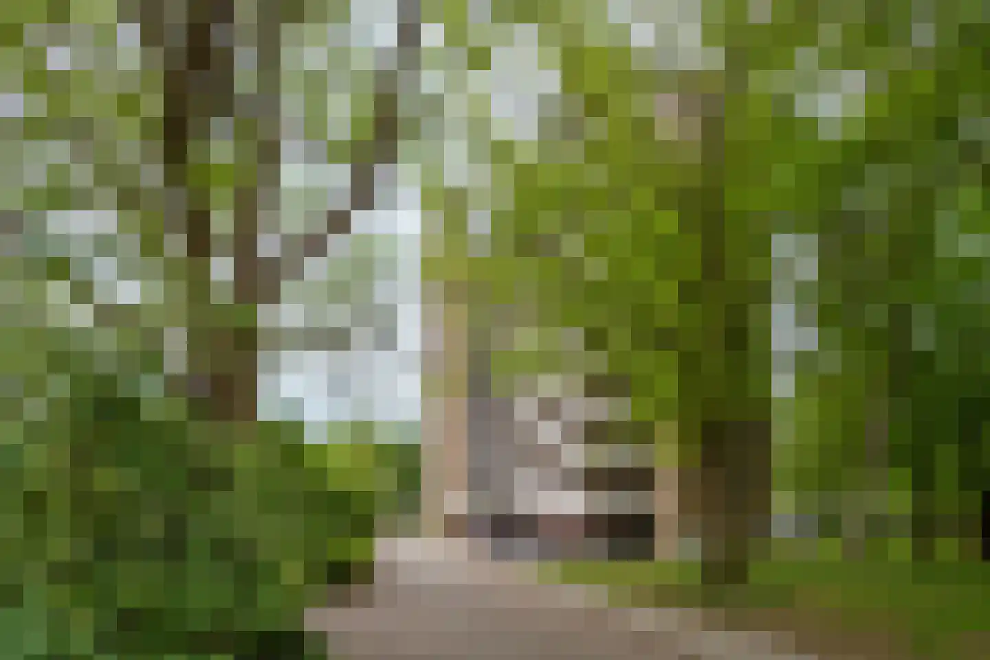 Lisztgaarde 50 Oss thumbnail 18