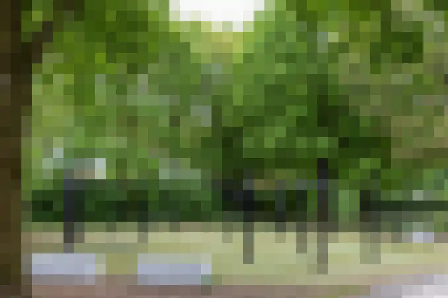 Lisztgaarde 50 Oss thumbnail 20