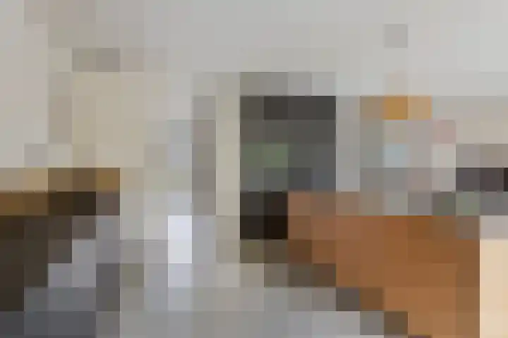 Lisztgaarde 61 Oss thumbnail 18