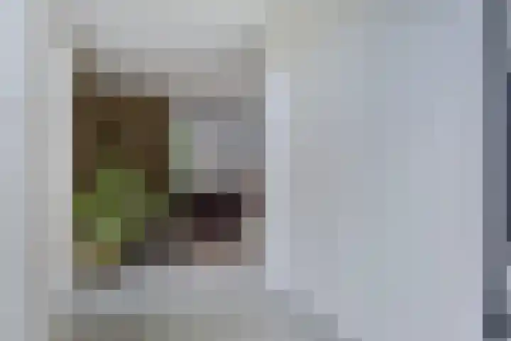 Lisztgaarde 61 Oss thumbnail 22