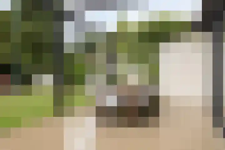 Lisztgaarde 61 Oss thumbnail 31