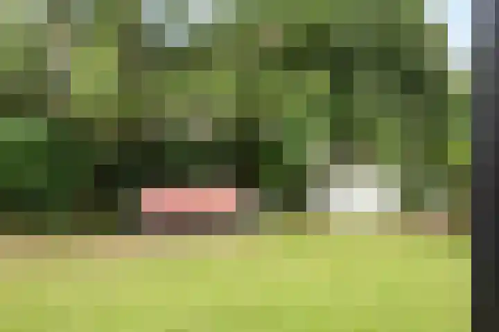 Lisztgaarde 61 Oss thumbnail 32