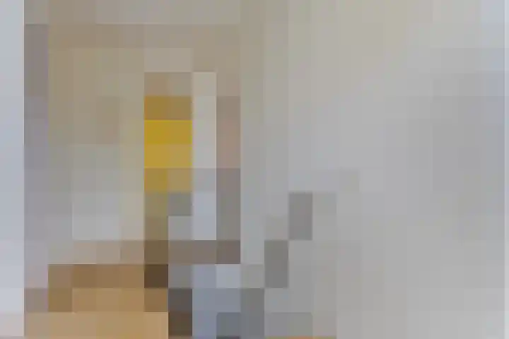 Lisztgaarde 61 Oss thumbnail 33