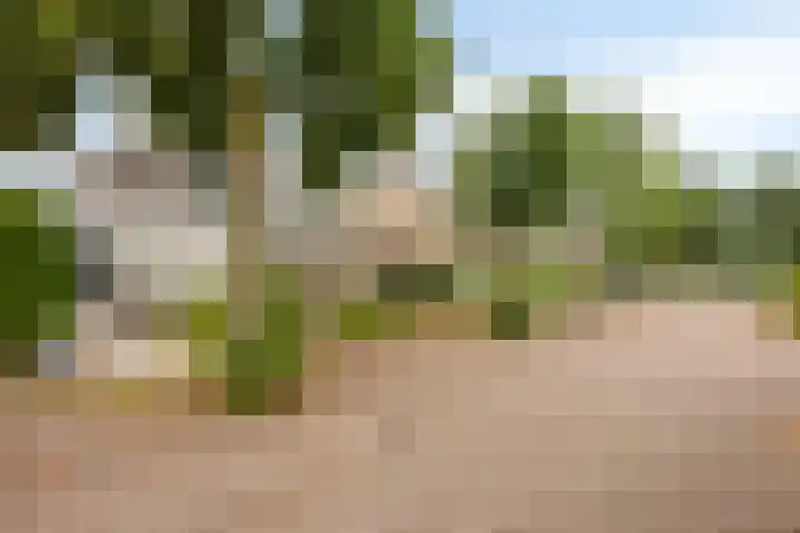 Lisztgaarde 61 Oss thumbnail 47