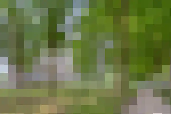 Lisztgaarde 8 Oss thumbnail 12