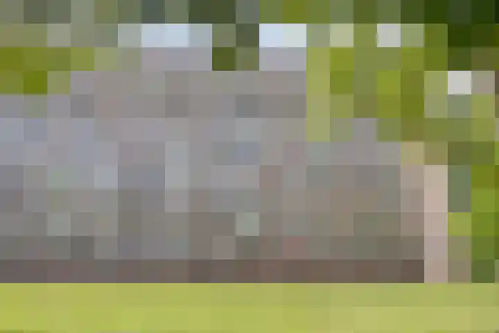 Lisztgaarde 8 Oss thumbnail 13