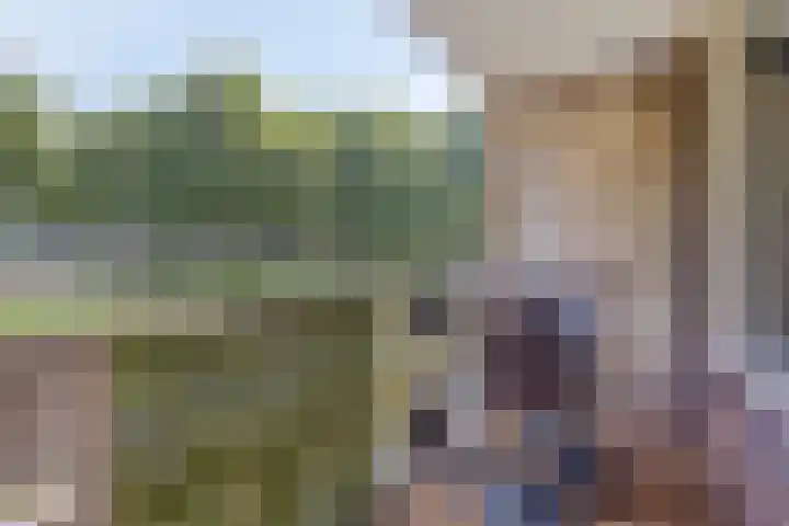 Lisztgaarde 8 Oss foto 2