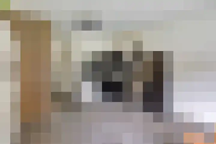Lisztgaarde 8 Oss thumbnail 6