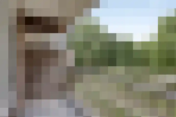 Lisztgaarde 80 Oss thumbnail 11