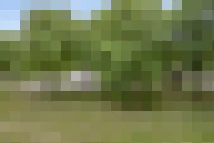 Lisztgaarde 80 Oss thumbnail 12