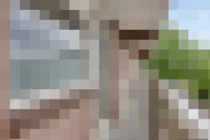Lisztgaarde 80 Oss thumbnail 13