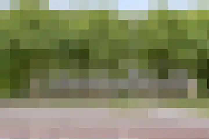 Lisztgaarde 80 Oss thumbnail 15