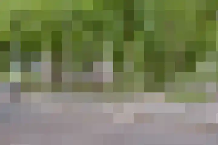 Lisztgaarde 80 Oss thumbnail 16