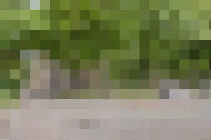 Lisztgaarde 80 Oss thumbnail 17