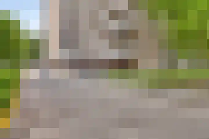 Lisztgaarde 80 Oss thumbnail 18