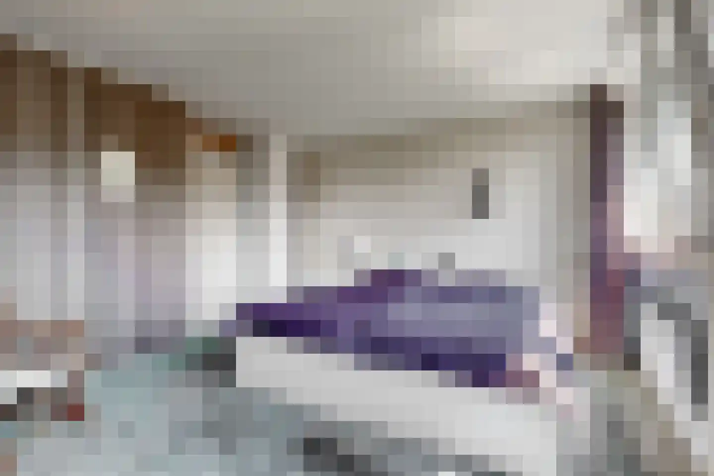 Liszthof 17 Alphen aan den Rijn thumbnail 15
