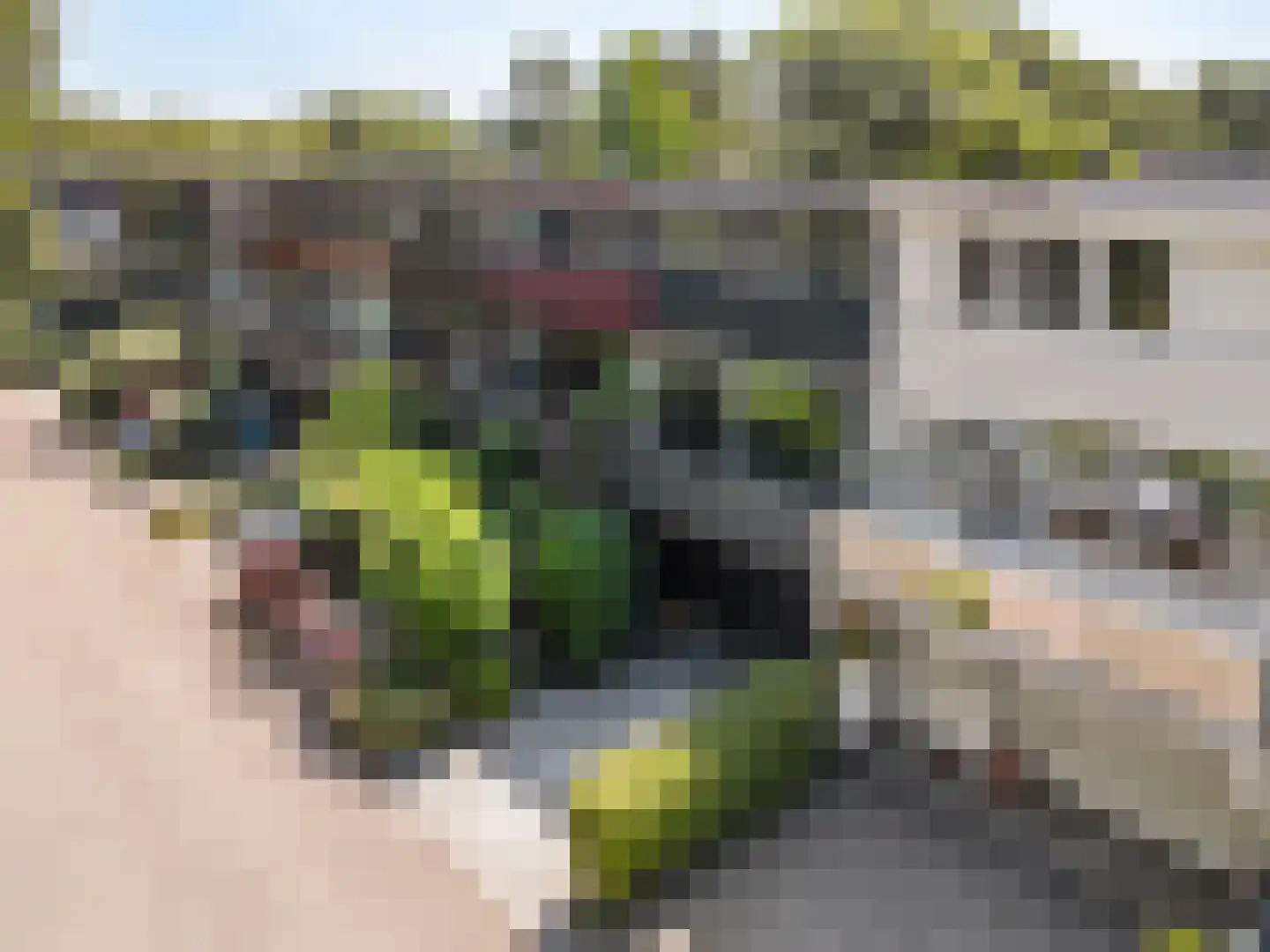 Liszthof 17 Alphen aan den Rijn thumbnail 31