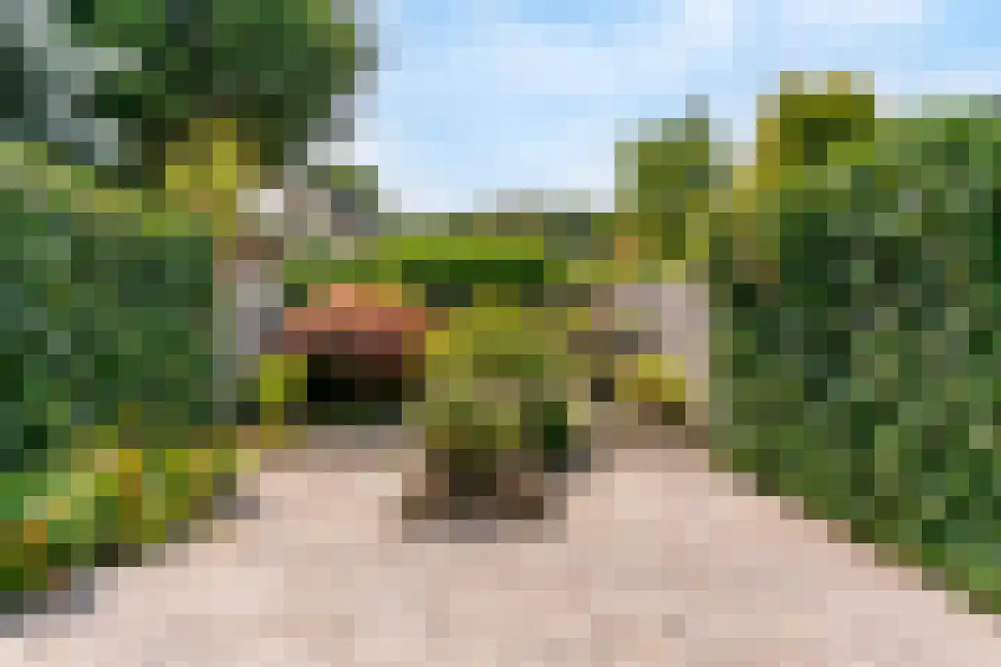 Liszthof 17 Alphen aan den Rijn thumbnail 5