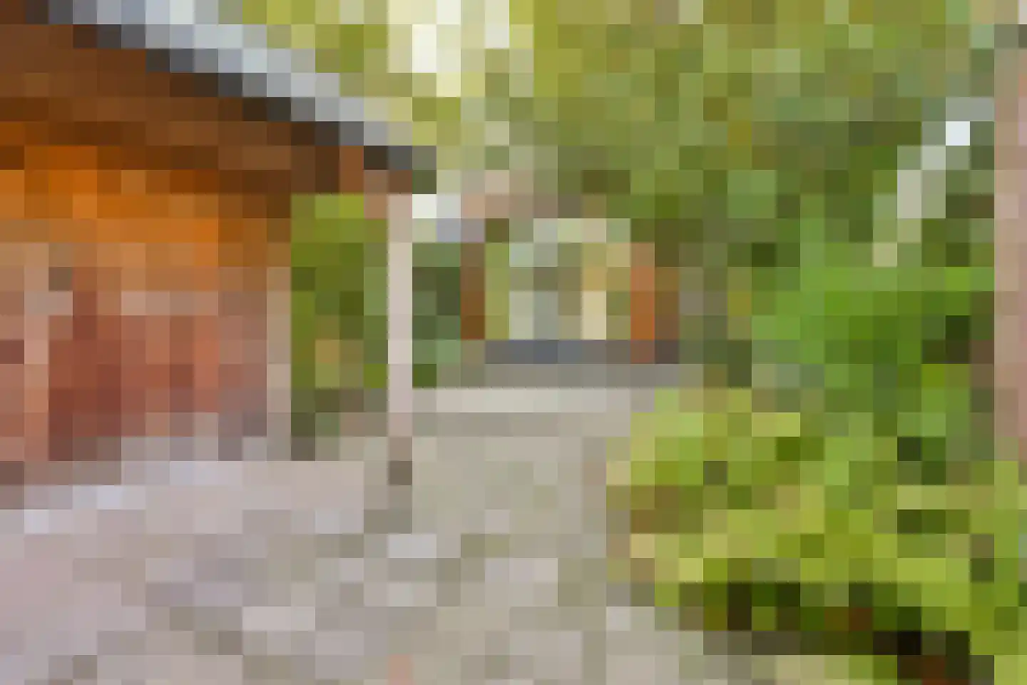 Lisztlaan 25 Rotterdam thumbnail 11