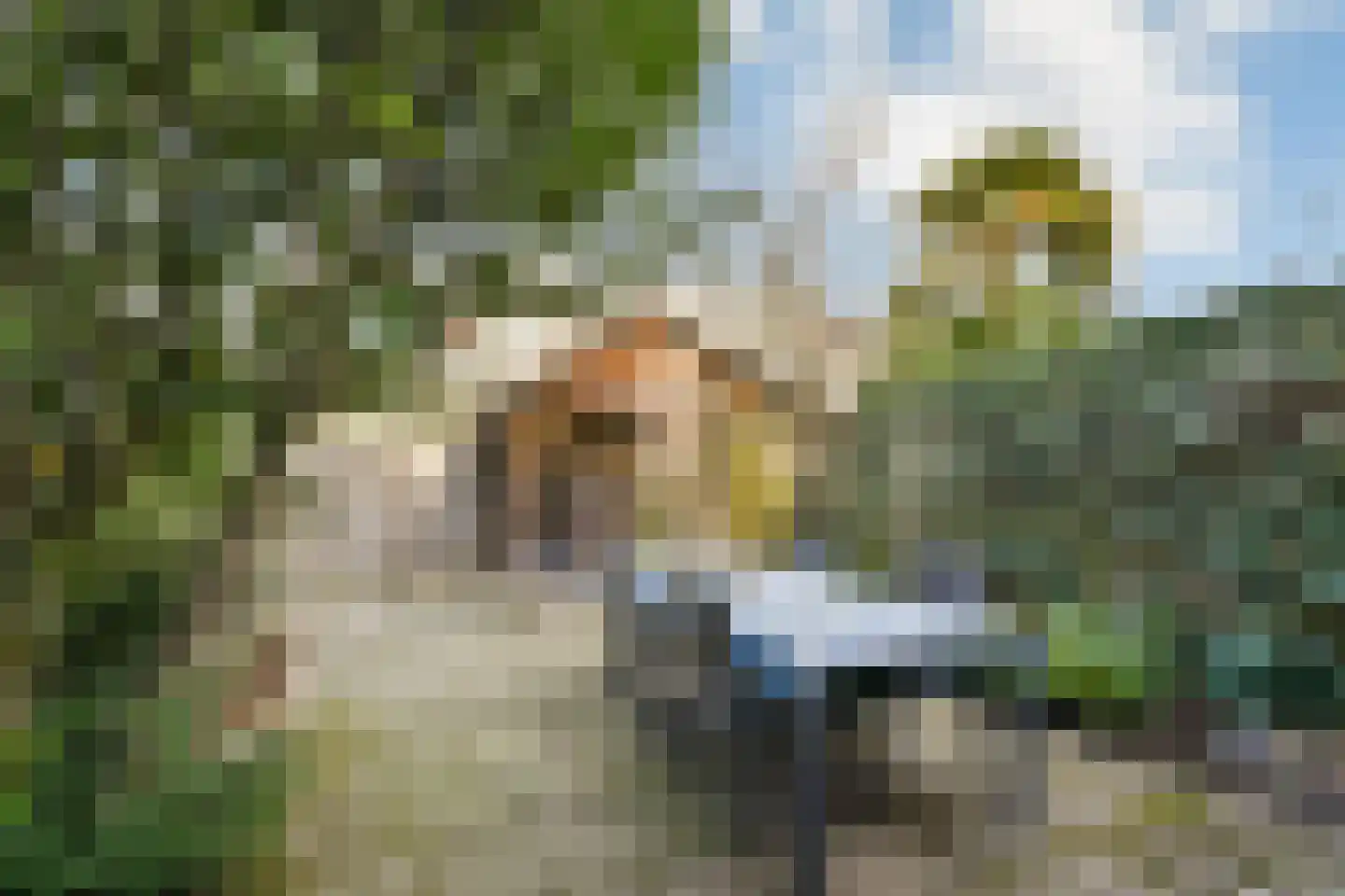 Lisztlaan 25 Rotterdam thumbnail 11