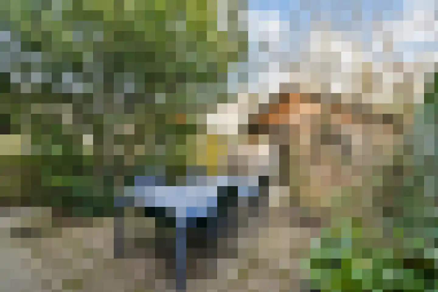 Lisztlaan 25 Rotterdam thumbnail 12