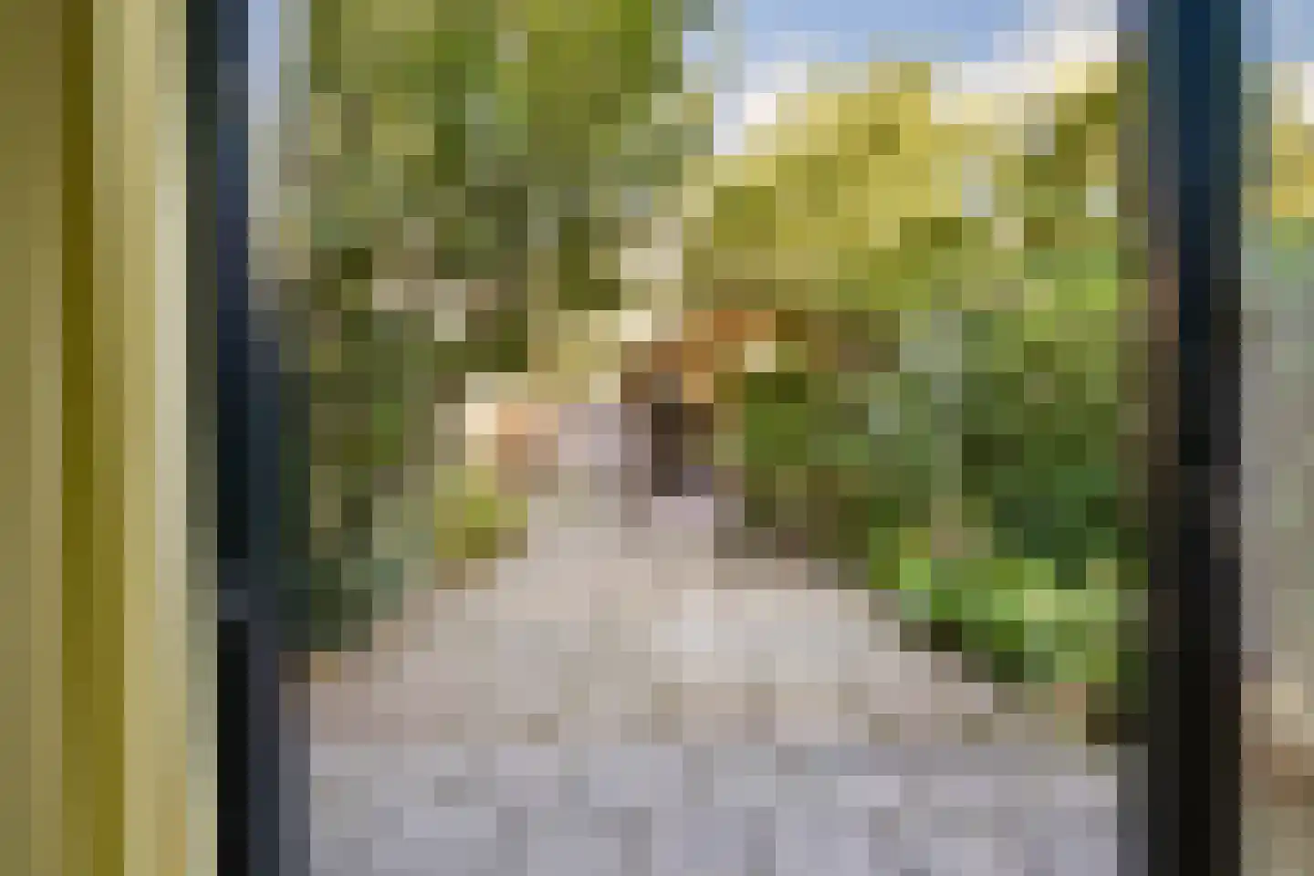 Lisztlaan 25 Rotterdam thumbnail 12