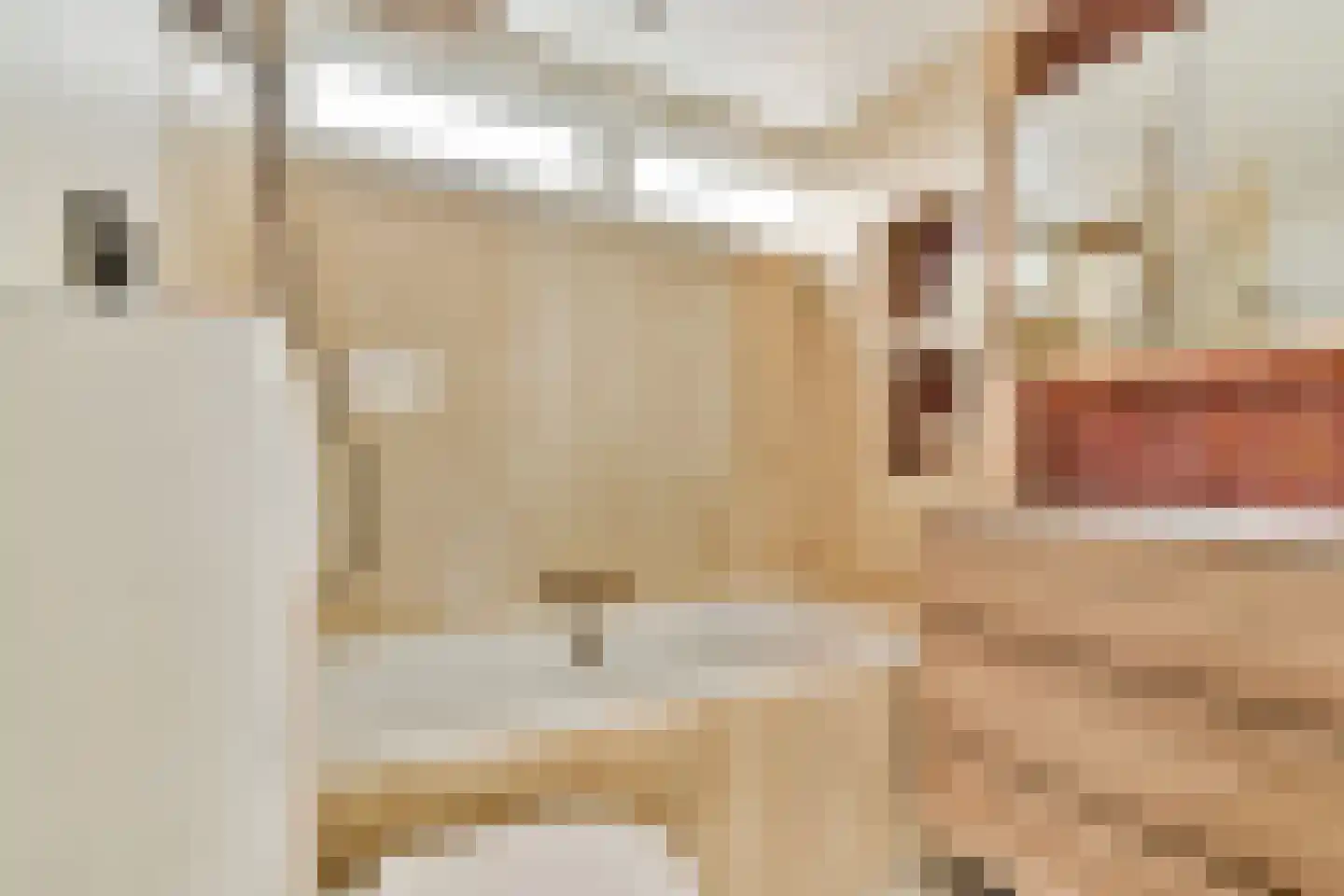 Lisztlaan 25 Rotterdam thumbnail 21