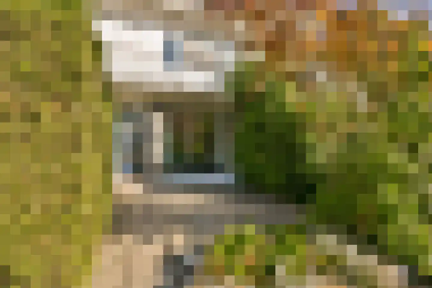 Lisztlaan 25 Rotterdam thumbnail 25