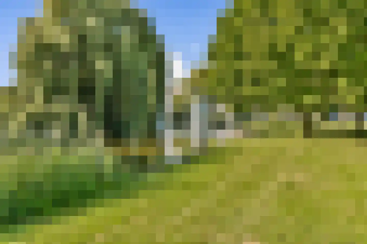 Lisztlaan 25 Rotterdam thumbnail 29